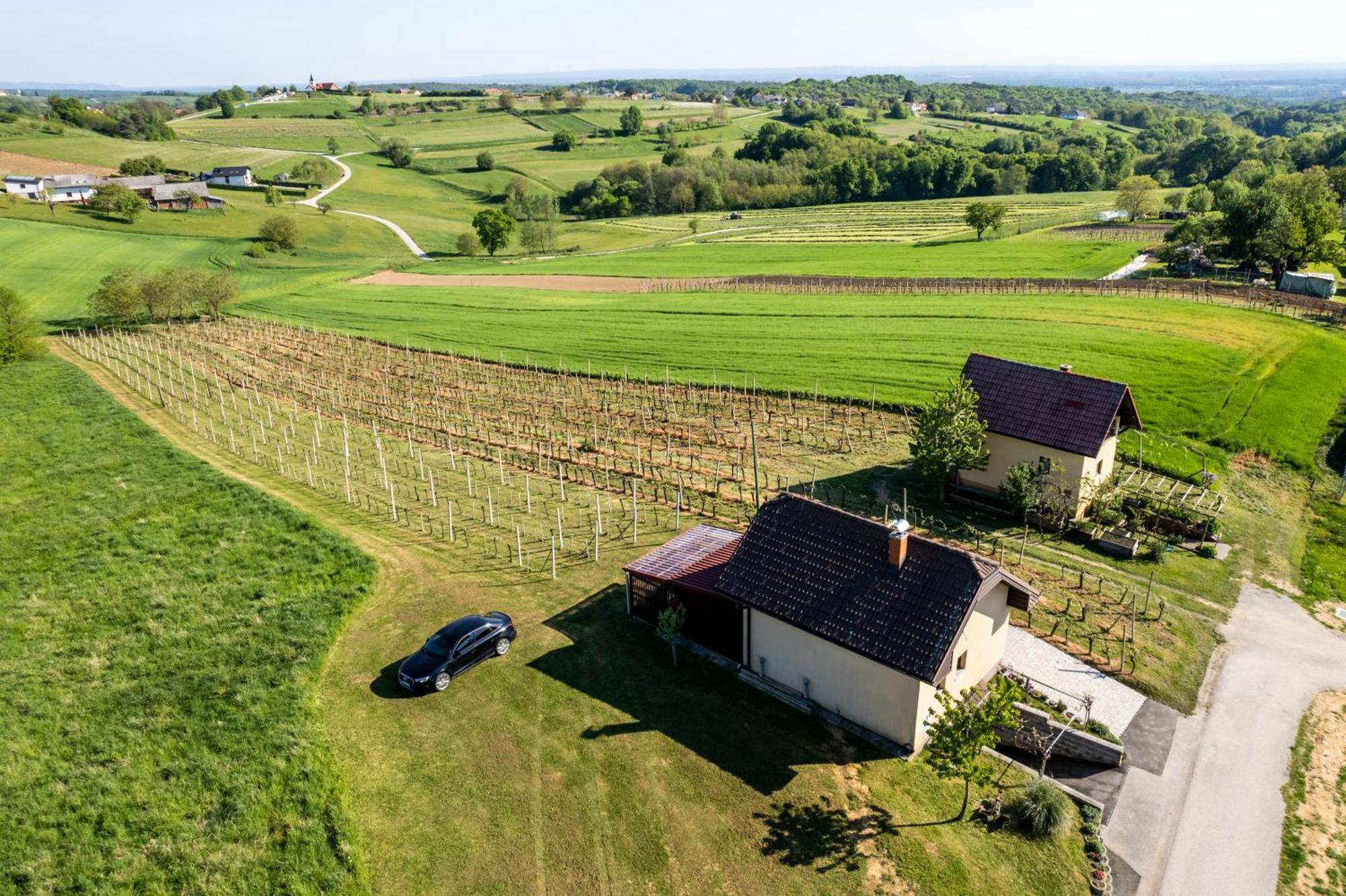 Apartma Eni Moravske-Toplice Dış mekan fotoğraf